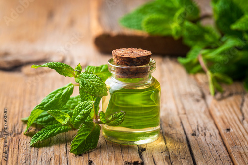 Fresh green mint and mint oil photo