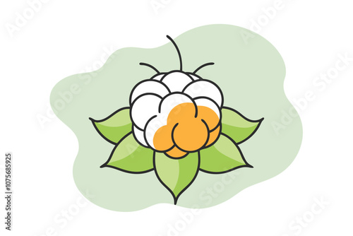 Line Color Drawing of Cloud berry Vector