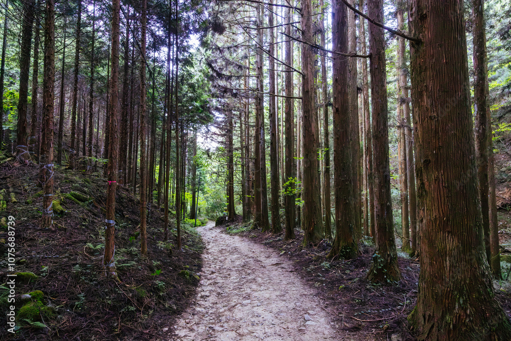 Fototapeta premium Nakasendo Trail Landscape in Japan