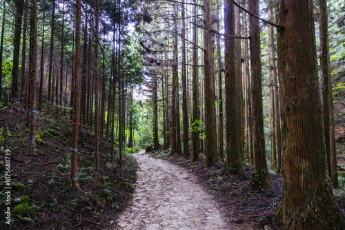 Nakasendo Trail Landscape in Japan photo