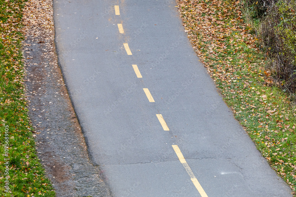 Obraz premium Autumn Leaves on Paved Pathway in Victoria, Vancouver Island