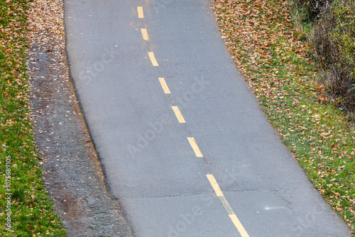 Wallpaper Mural Autumn Leaves on Paved Pathway in Victoria, Vancouver Island Torontodigital.ca