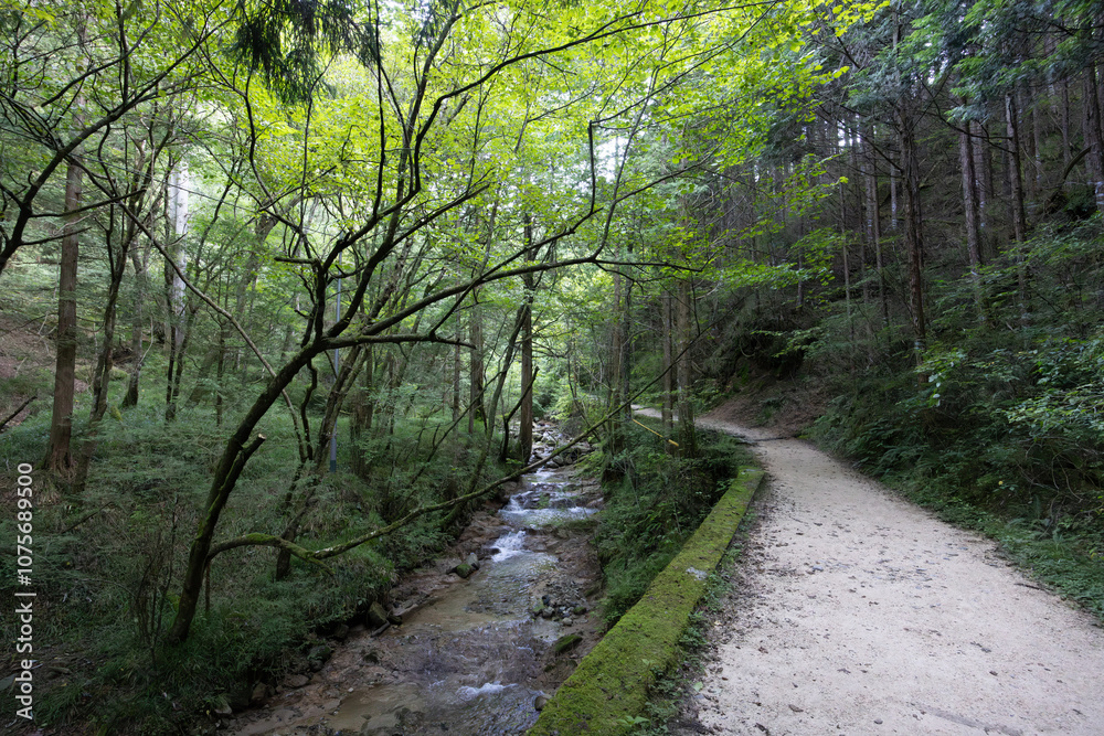 Fototapeta premium Nakasendo Trail Landscape in Japan