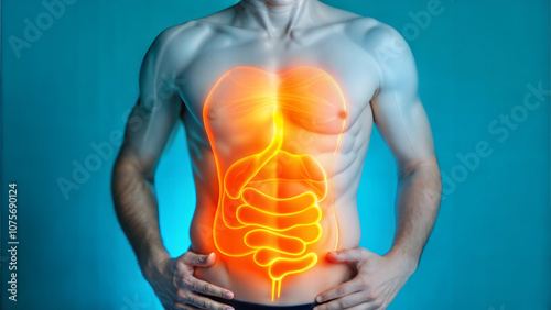 Glowing visualization of human digestive system on male torso photo