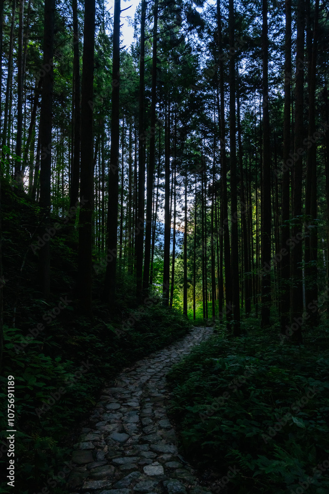 Fototapeta premium Nakasendo Trail Landscape in Japan
