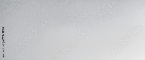Subtle Light Gray Texture with Vignette Effect for Elegant Background Design