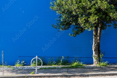 Minimalist photo of a vibrant blue wall and a lush green tree in the foreground city street view
