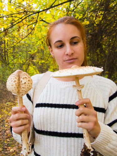 Young woman is collecting parasol mushroom photo