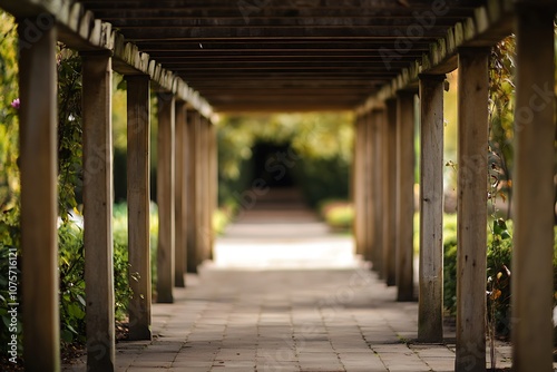 Wooden pergola walkway leading to the blurred background