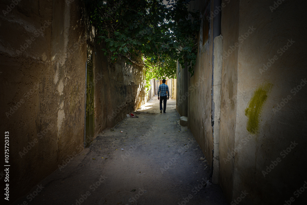 Solitary Walk in a Serene Alleyway Solitary Walk in a Serene Alleyway