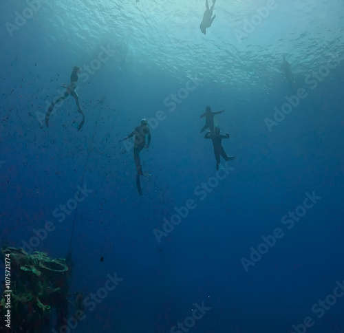 free diver underwater