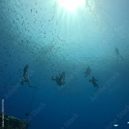 underwater people free diving