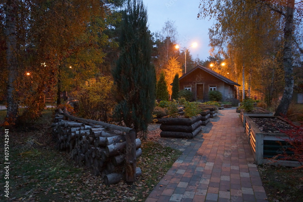 Fototapeta premium autumn in the park
