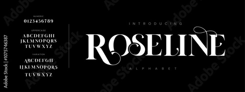 Roseline typography beauty fashion elegant minimalist serif italic fonts decorative wedding vintage retro logos. Minimal luxury font alphabet logo. Vector illustration