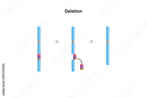 Deletion Chromosomal Mutation Science Design. Vector Illustration.