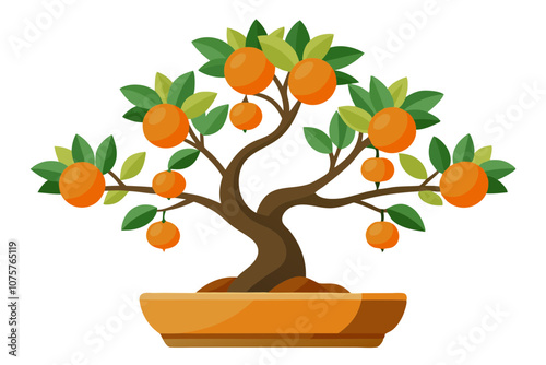 Orange trees isolated on white looks like tangerines or mandarins. It is extremely nice 