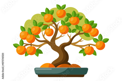 Orange trees isolated on white looks like tangerines or mandarins. It is extremely nice 