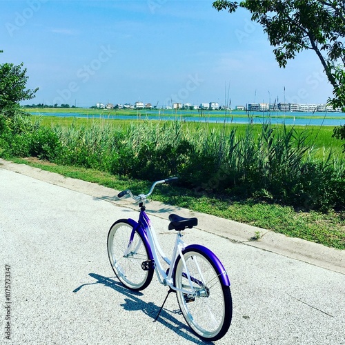 bicycle in the park