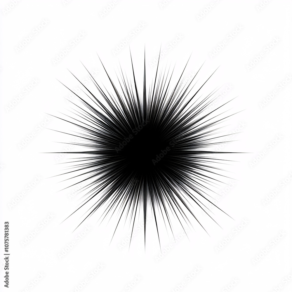 A stark black starburst on a white background, creating a striking contrast and an abstract visual effect. A stark black starburst on a white background, creating a striking contrast and an abstract visual effect.