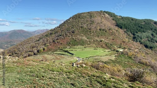 Prairie de montagne dans les Cévennes