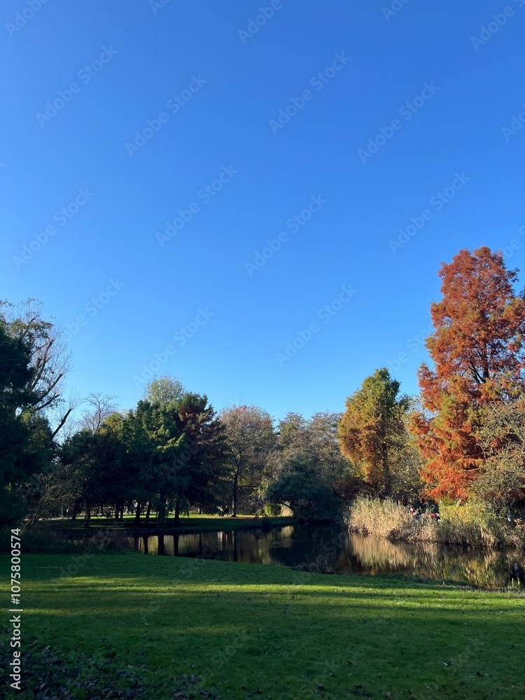 Vibrant Fall Colors in Vondelpark, Amsterdam, with Golden Leaves and Scenic Pathways Amidst Autumn Trees Vibrant Fall Colors in Vondelpark, Amsterdam, with Golden Leaves and Scenic Pathways Amidst Autumn Trees