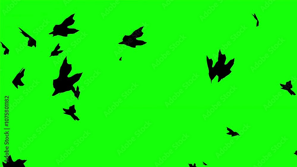 falling leaf green screen falling leaf green screen