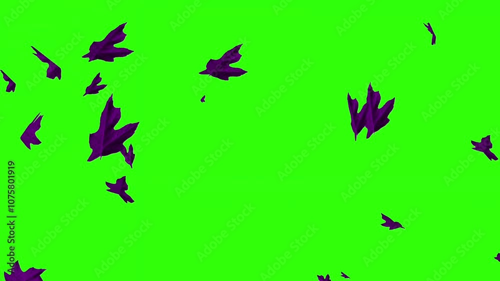 falling leaf green screen falling leaf green screen