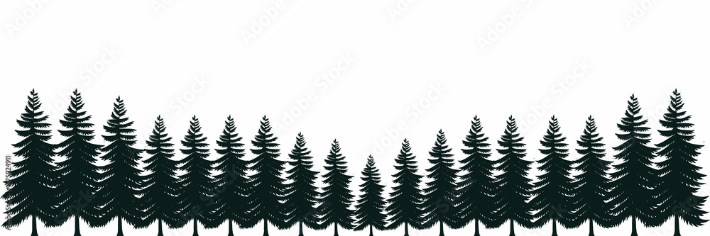 Fototapeta premium silhouette of a grass pine