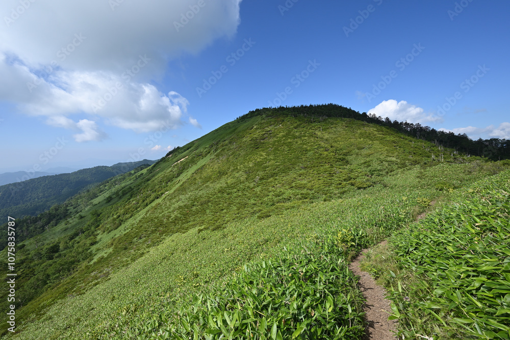 Fototapeta premium Climbing Mt. Shirasuna, Gunma, Japan
