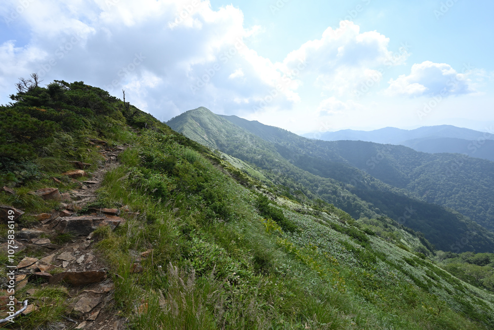 Naklejka premium Climbing Mt. Shirasuna, Gunma, Japan