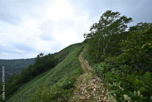 Climbing Mt. Shirasuna, Gunma, Japan photo