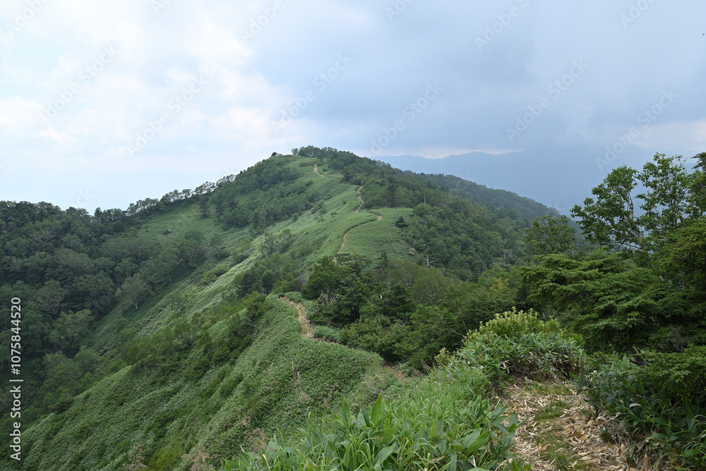 Naklejka premium Climbing Mt. Shirasuna, Gunma, Japan
