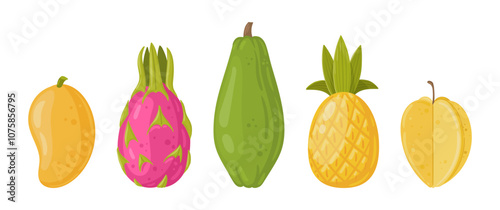 Fresh exotic fruits. Mango, pineapple, papaya and dragon fruit, organic vitamin vegetarian food vector illustration set. Cartoon tropical fruits