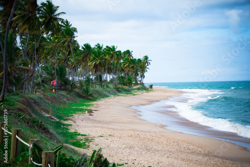 Fototapeta Naklejka Na Ścianę i Meble -  Sandy beach with palm trees and ocean waves in Salvador, BA.