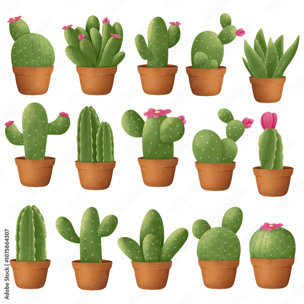 cactus in pots Illustration cactus in pots Illustration