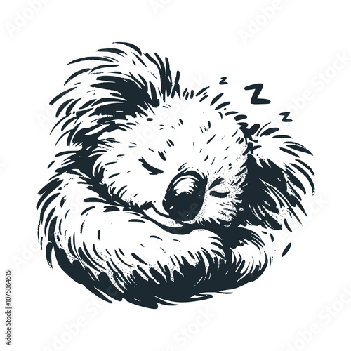 Koala sleeping and snoring softly. Black white vector illustration.