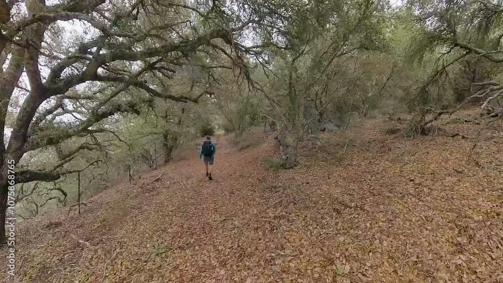 Man Backpacks over Leafy Trail in Channel Islands National Park Man Backpacks over Leafy Trail in Channel Islands National Park