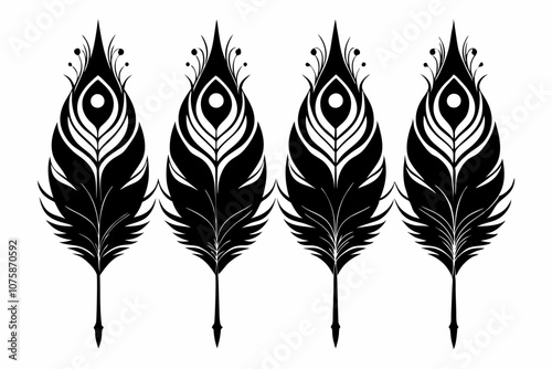 Set of Black peacock feather silhouette Vector illustration, Vector silhouette of a Peacock feather, black and white Peacock feather Silhouette, Peacock feather logo icon template vector illustration.