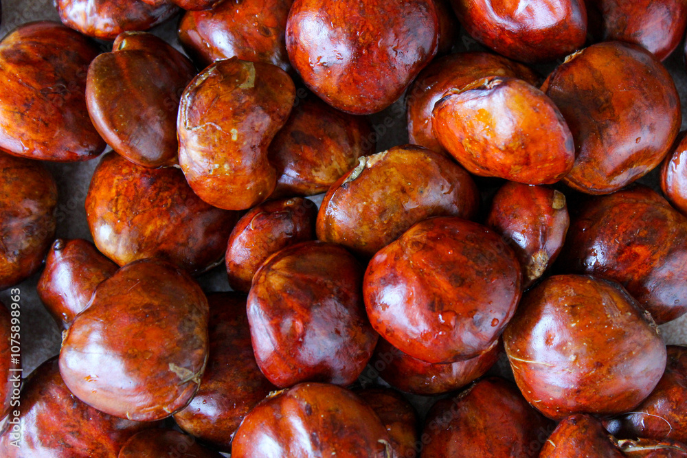 Dogfruit (Archidendron pauciflorum) an Indonesia commonly called djenkol, jengkol or jering. Food Ingredients Dogfruit (Archidendron pauciflorum) an Indonesia commonly called djenkol, jengkol or jering. Food Ingredients