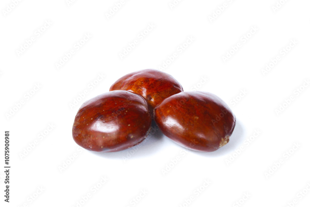 Dogfruit (Archidendron pauciflorum) an Indonesia commonly called djenkol, jengkol or jering isolated on white background. Food Ingredients Dogfruit (Archidendron pauciflorum) an Indonesia commonly called djenkol, jengkol or jering isolated on white background. Food Ingredients