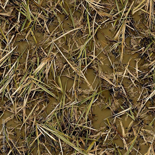 Flooded Muddy Marsh Bushwolf Tall Grass Hunting Camo, Seamless Camouflage Pattern photo