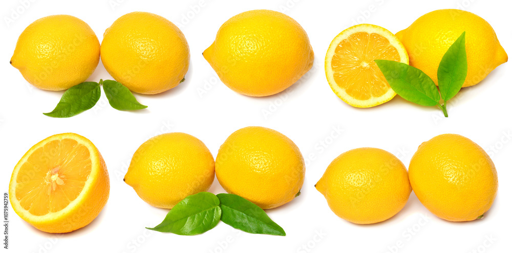 Fresh lemon with leaf slices collection isolated on white background. Citrus fruit Fresh lemon with leaf slices collection isolated on white background. Citrus fruit