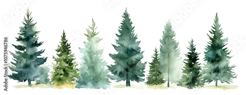 Christmas trees Vector watercolor illustration,Forest, fir trees, pine trees, woods watercolor illustration,festival set