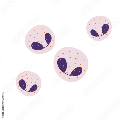 eosinophil vector