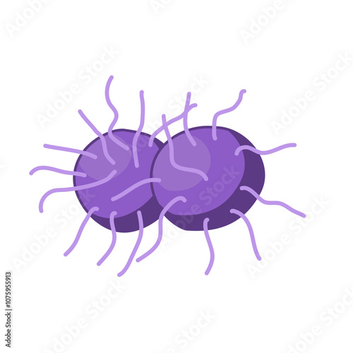 Gonorrhea vector