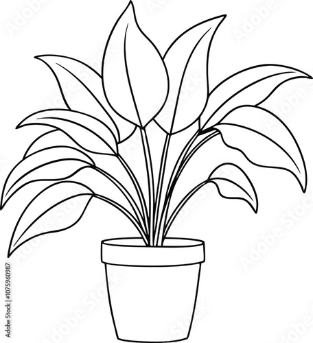 House plant in a pot line art, house plant outline vector 