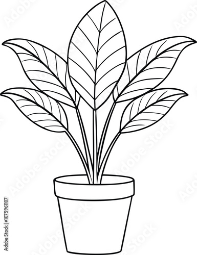 House plant in a pot line art, house plant outline vector 