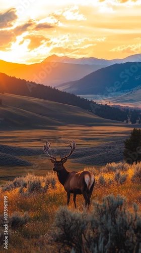 Celebrate National Geographic Day with a stunning landscape photo showcasing the breathtaking beauty of nature, featuring vibrant wildlife and expansive horizons, inviting exploration and curiosity photo