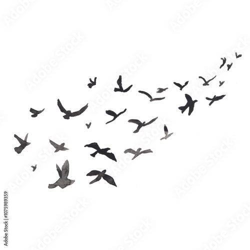 flock of birds flying silhouette 