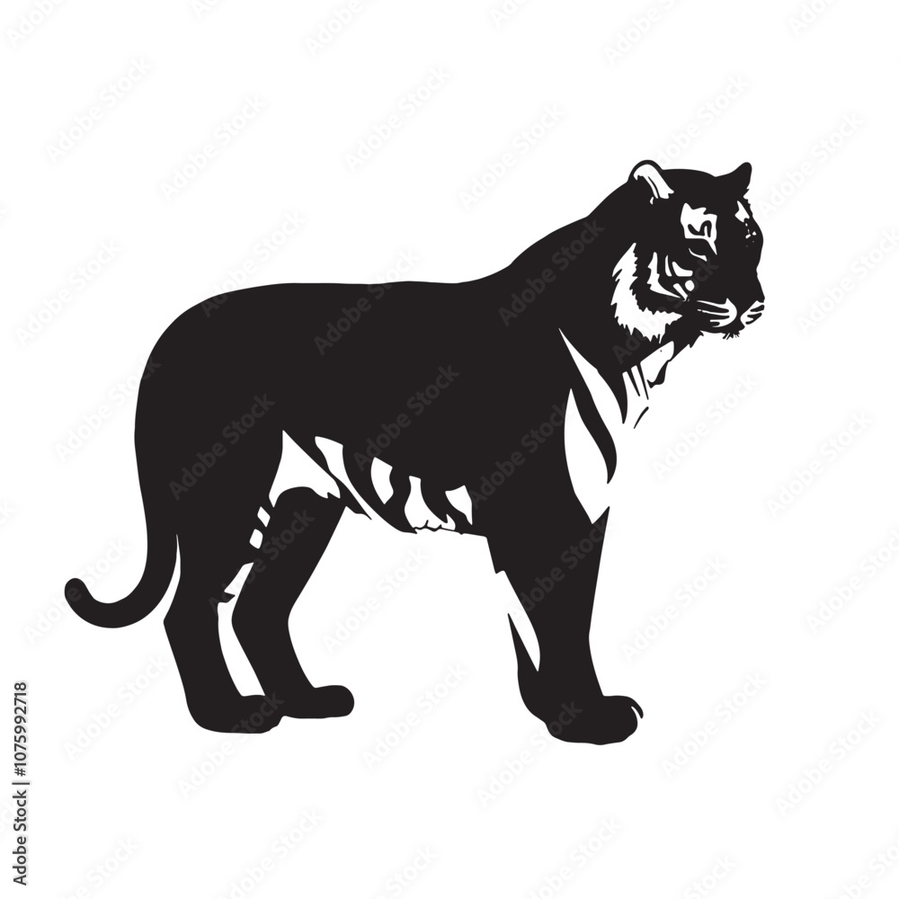 Obraz premium Tiger silhouette